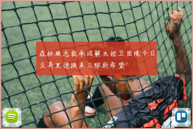 森林狼总裁承诺解决控卫困境今日交易里德换来三球新希望