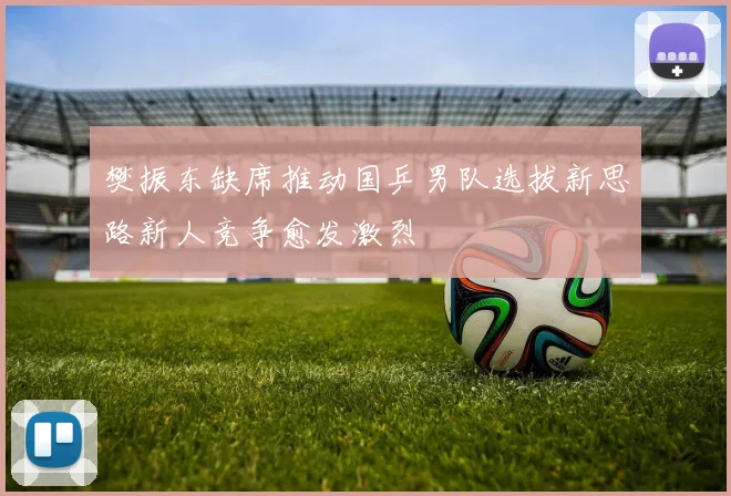 樊振东缺席推动国乒男队选拔新思路新人竞争愈发激烈